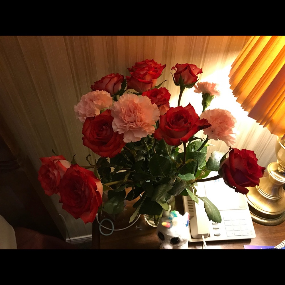 Meet your Posher, Maghan